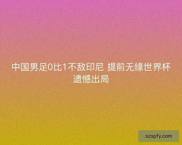 中国男足0比1不敌印尼 提前无缘世界杯遗憾出局