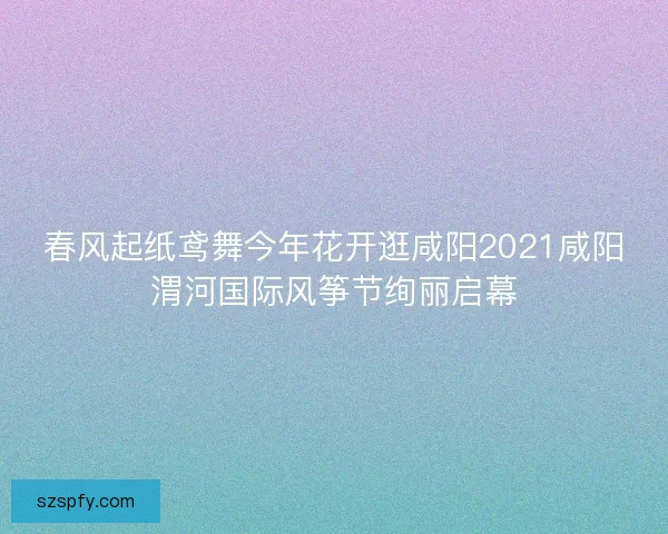春风起纸鸢舞今年花开逛咸阳2021咸阳渭河国际风筝节绚丽启幕