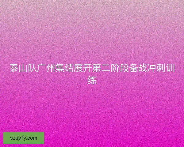 泰山队广州集结展开第二阶段备战冲刺训练